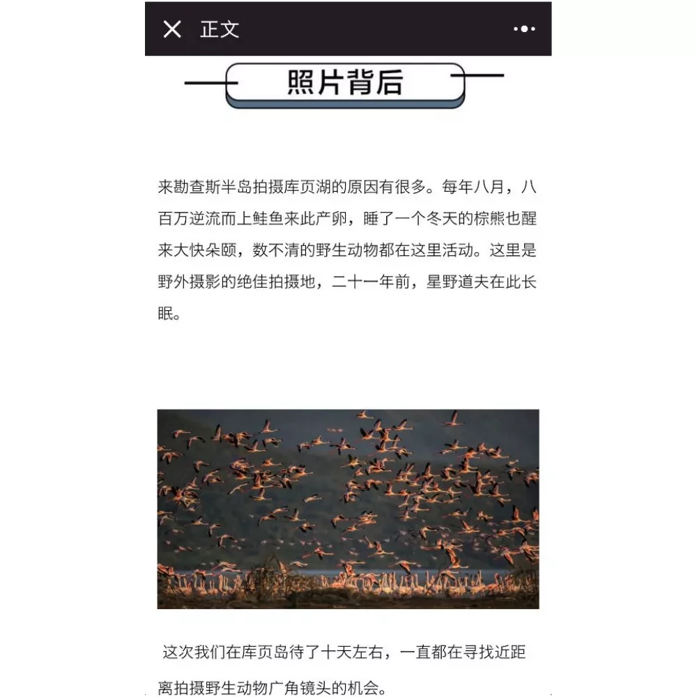 想通过拍照找到女朋友?这里有个教你拍出大片的小程序