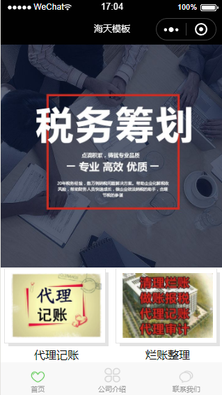 税务公司(图1)