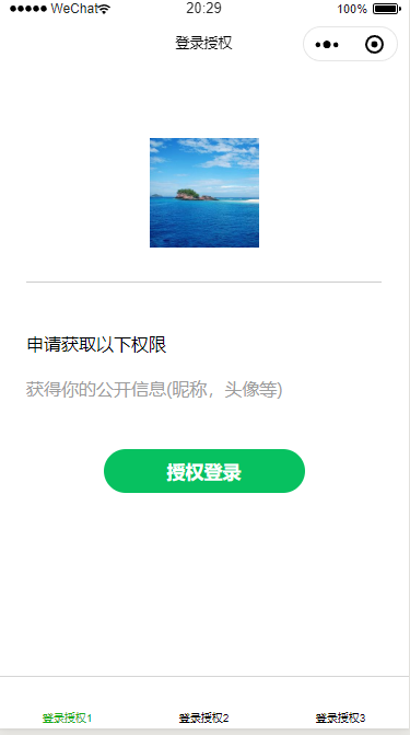 授权登录页面(图3)